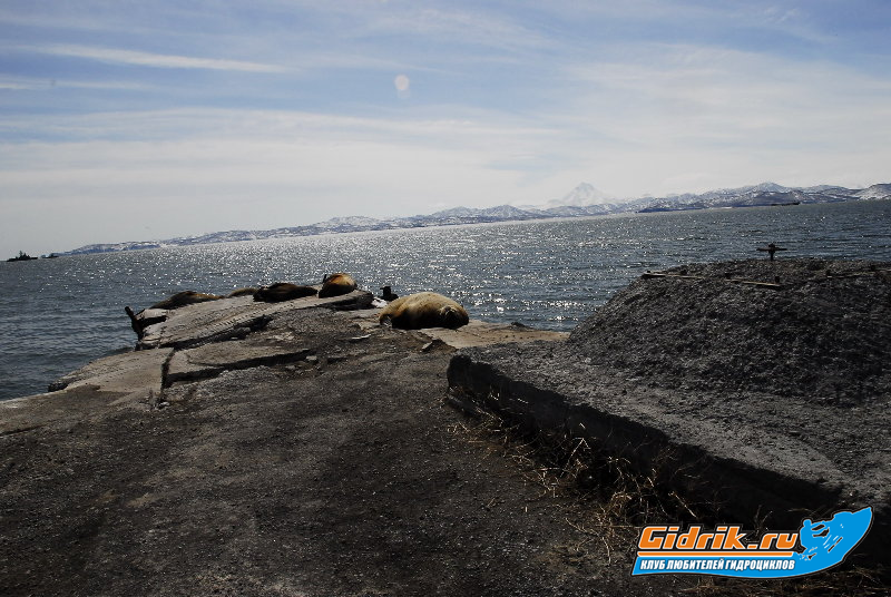 _DSC2706_resize.JPG