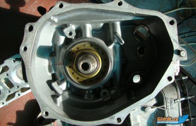 картер_650.jpg