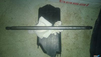 WP_20160320_002.jpg