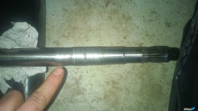 WP_20160320_004.jpg