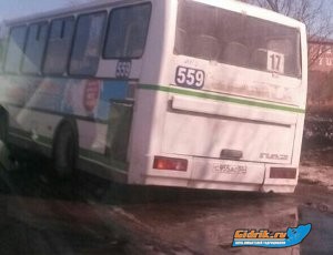 561169.jpg