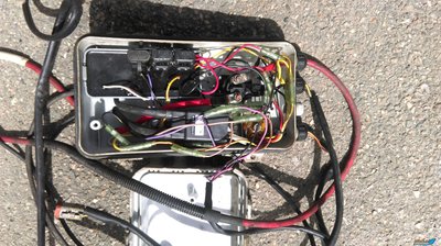 IMAG1169[1].jpg