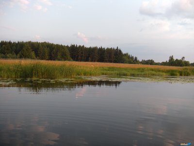 DSCN0748.jpg
