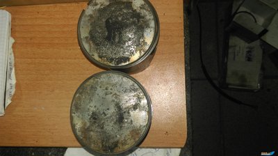 IMAG1288[1].jpg