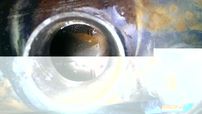 IMG-20160504-WA0007.jpg