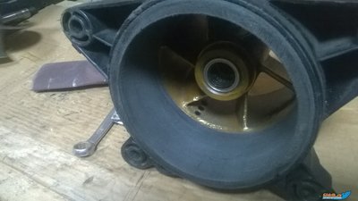 WP_20160513_22_54_47_Pro.jpg
