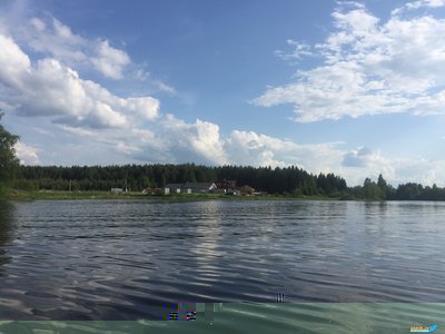 IMG_3979!.jpg