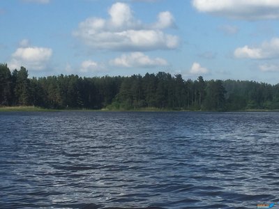 IMG_4025!.jpg