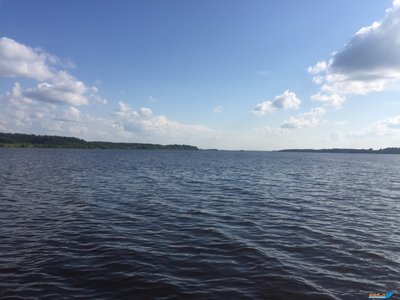 IMG_4033!.jpg