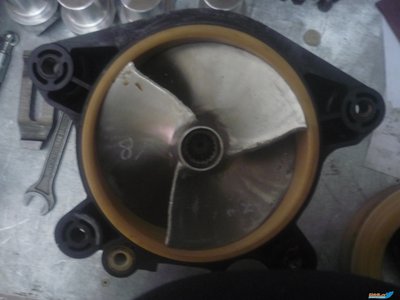 P1010631.JPG