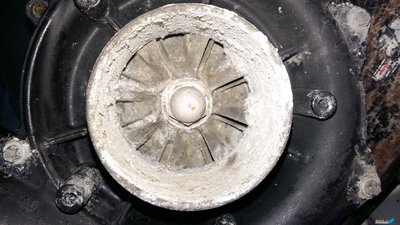 20160619_195057.jpg
