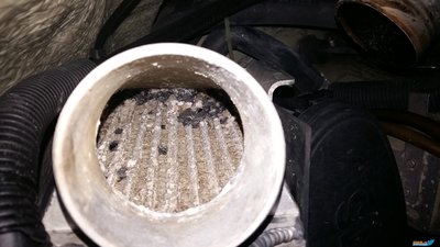 20160619_195448.jpg