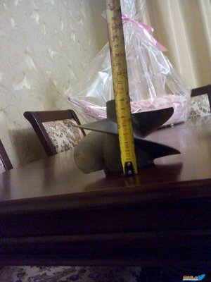 IMG_20160622_210619.jpg
