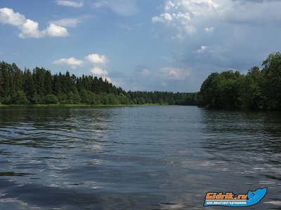 IMG_4603!.JPG