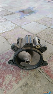 IMAG0968.jpg