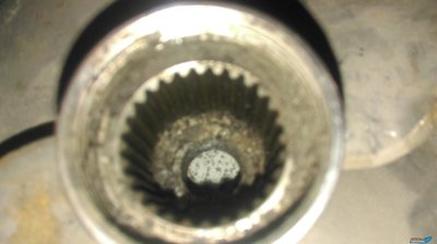 IMAG1703[1].jpg