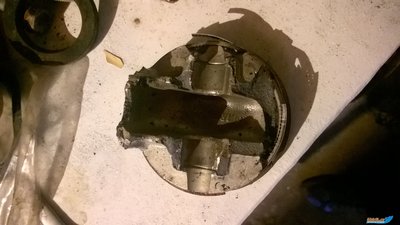 WP_20160924_17_50_31_Pro.jpg