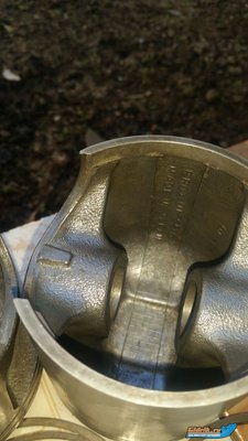 IMG-20161007-WA0005.jpg