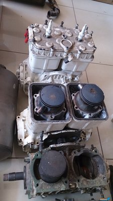 DSC_0927.JPG