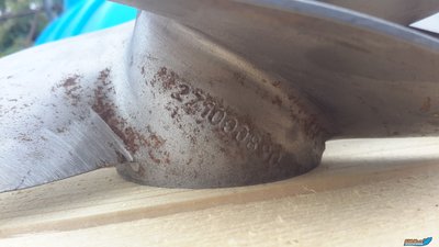 20161020_125554.jpg