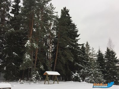 IMG_7709.JPG