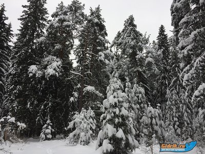 IMG_7714.JPG