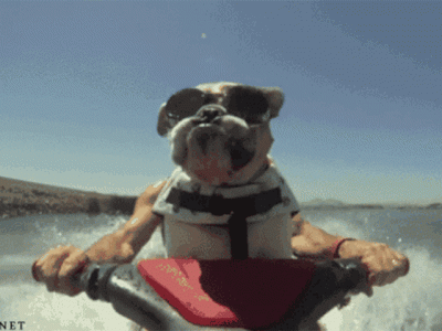 20160630201531_760076.gif