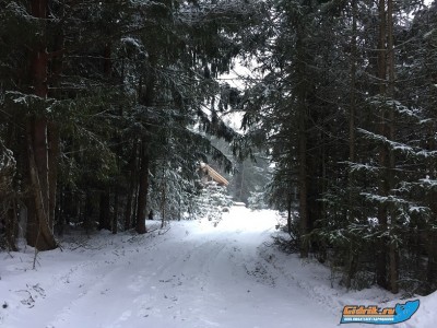 IMG_8174.JPG