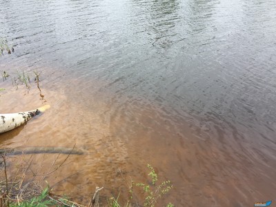 IMG_2476.JPG
