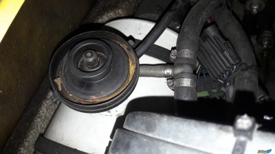 20170612_110547.jpg