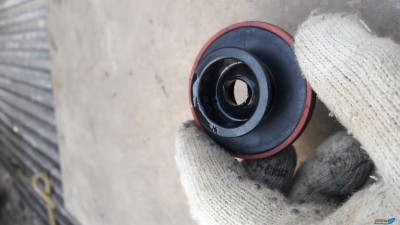 20170612_110029.jpg