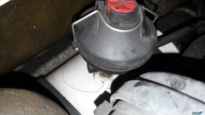 20170612_102404.jpg