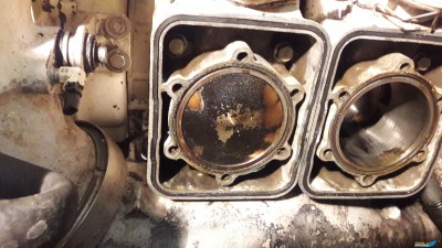 20170620_221756.jpg