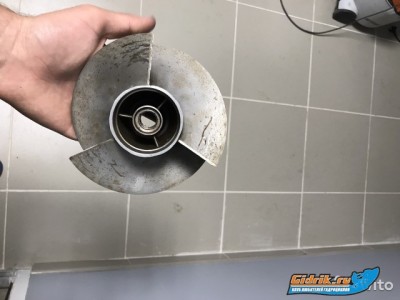 3582460788.jpg