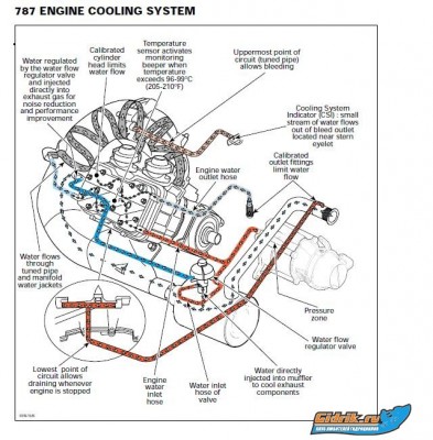 787 standard.JPG