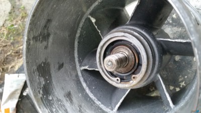 20171001_145134.jpg