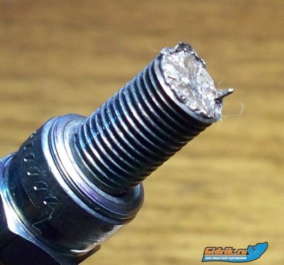 100_4089.JPG