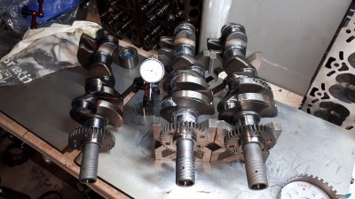 20180303_171859.jpg