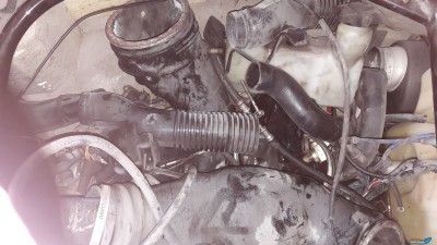 20180529_124755.jpg
