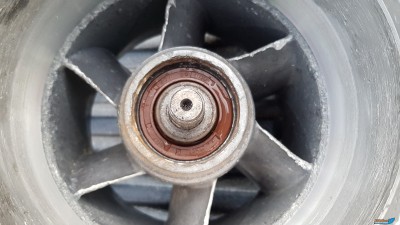 20180613_203101.jpg