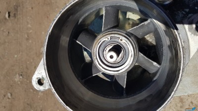 20180614_135920.jpg