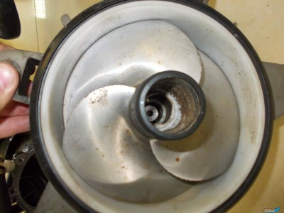 DSCN0061.JPG
