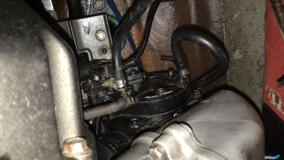 DJNR8931.JPG