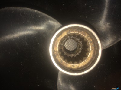IMG_4869[1].JPG