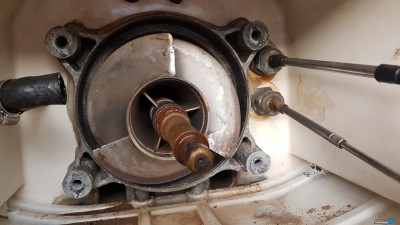 20180730_202335.jpg
