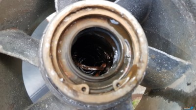 20180730_202358.jpg
