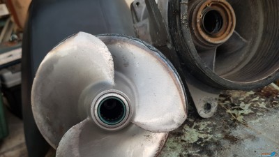 20180730_202445.jpg