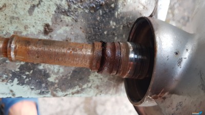 20180730_202725.jpg