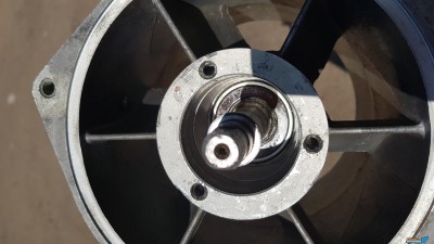 20180816_131353.jpg