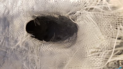 20180810_194306.jpg